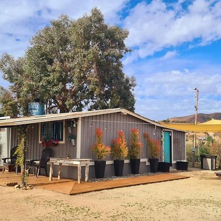 Finca Vidandrei Casa Eucalipto Valle de Guadalupe Bagian luar foto