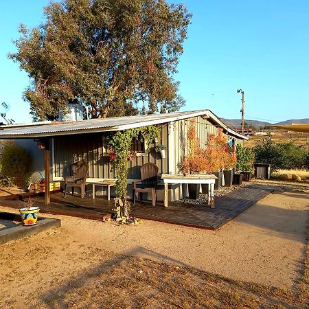 Finca Vidandrei Casa Eucalipto Valle de Guadalupe Bagian luar foto