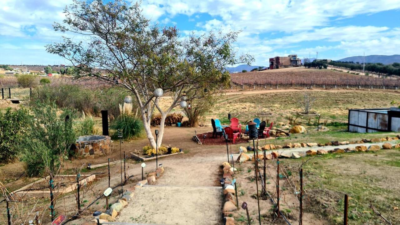 Finca Vidandrei Casa Eucalipto Valle de Guadalupe Bagian luar foto