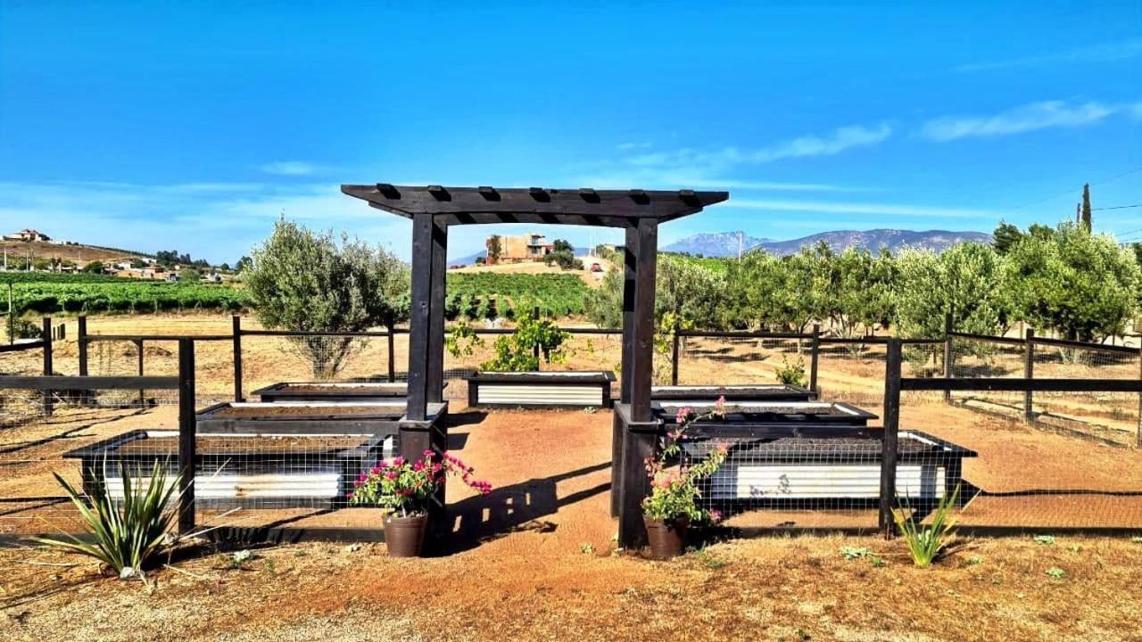 Finca Vidandrei Casa Eucalipto Valle de Guadalupe Bagian luar foto