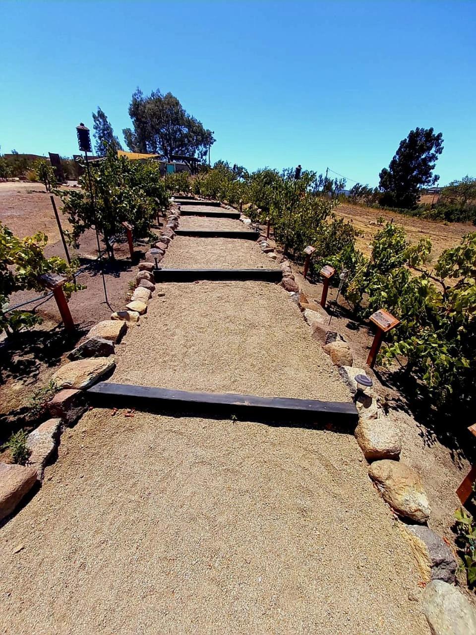 Finca Vidandrei Casa Eucalipto Valle de Guadalupe Bagian luar foto